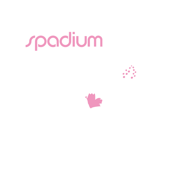 Spadium Zen Abers Lesneven Spadium Zen Abers Lesneven